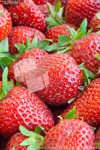 Image of Strawberry