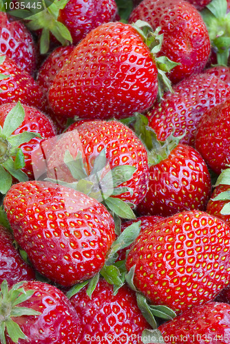 Image of Strawberry