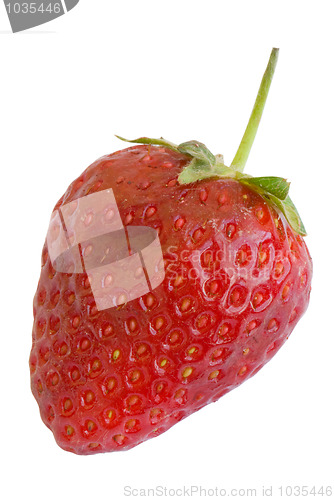 Image of Strawberry