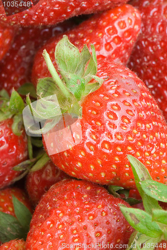 Image of Strawberry