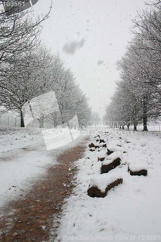 Image of Snow path