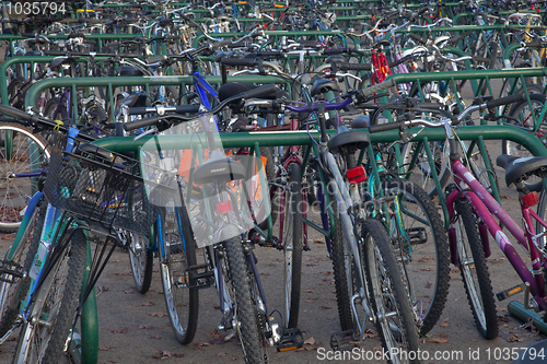 Image of bicycle parking at university campus