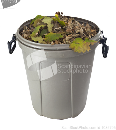 Image of dry leaves in a plastic garbage bin
