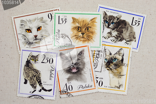 Image of cats - set of vintage post stamps from Poland