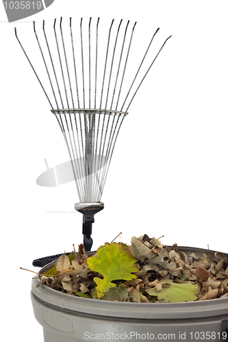 Image of trash bin, dry leaves and rake