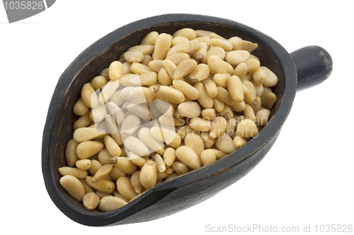 Image of scoop of pine nuts