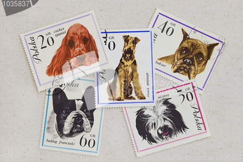 Image of dogs on vintage post stamps from Poland