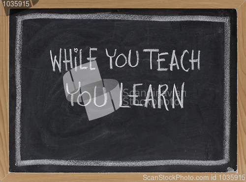 Image of while you teach, you learn