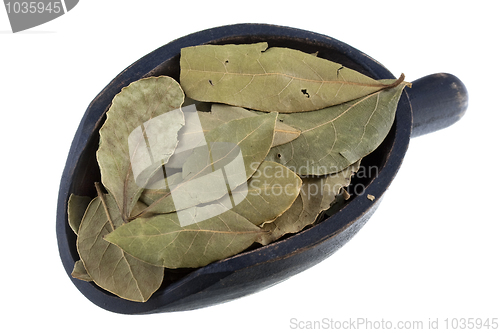 Image of scoop of dried bay leaves