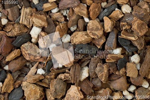 Image of orchid bark mix