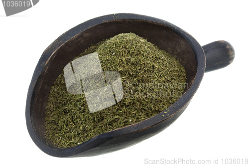 Image of scoop of dried dill weed