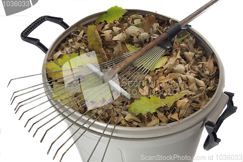 Image of rake and dry leaves in garbage bin