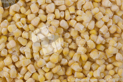 Image of frozen corn background