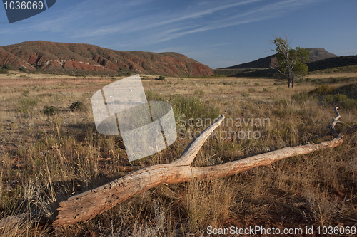 Image of Red Mountain in northern Colorado