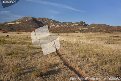 Image of cattle trail in Colorado mountain valley