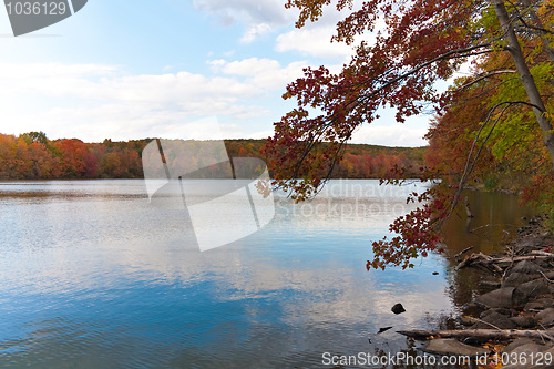 Image of New England Fall Foliage