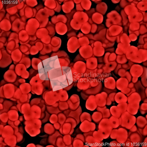 Image of Red Blood Cells Texture