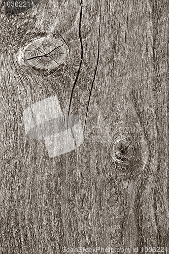 Image of Fence weathered wood background closeup 