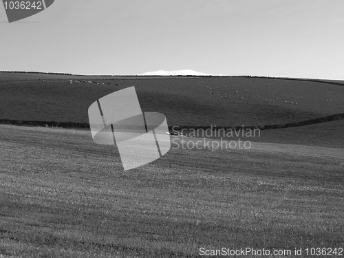 Image of Cardross hill