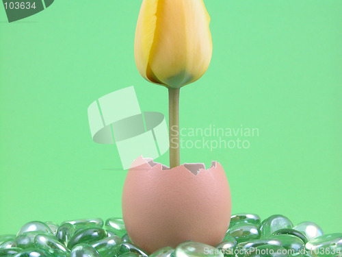 Image of Easter decoration