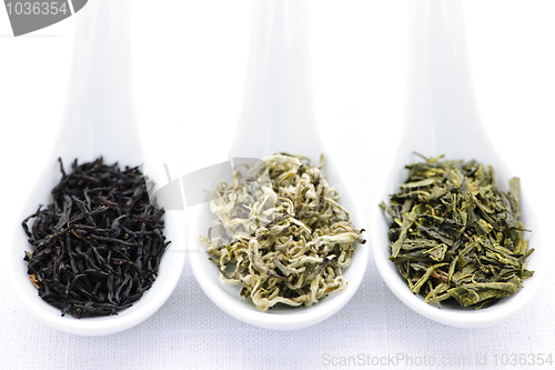 Image of Assortment of dry tea leaves in spoons