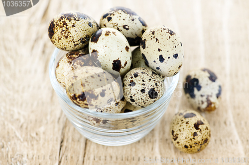 Image of Quail eggs