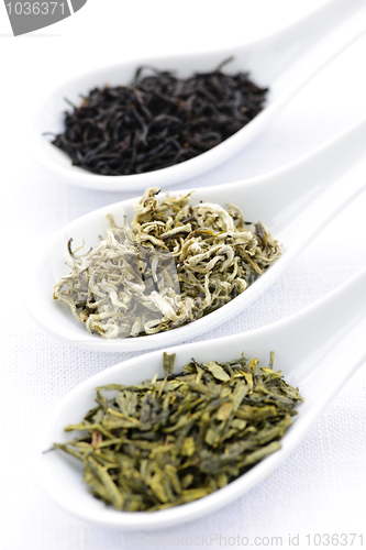 Image of Assortment of dry tea leaves in spoons