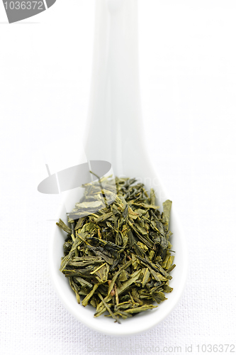 Image of Dry green tea leaves in a spoon