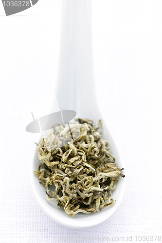 Image of Dry white tea leaves in a spoon