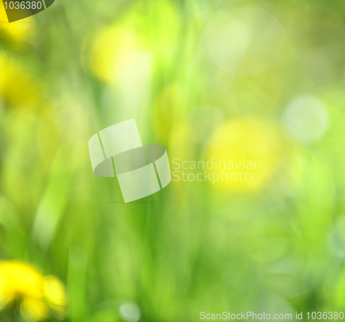 Image of Blurred green background