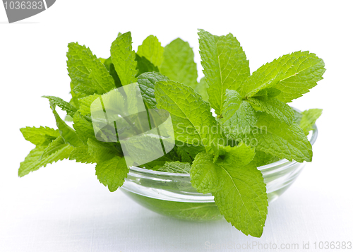 Image of Mint sprigs in bowl