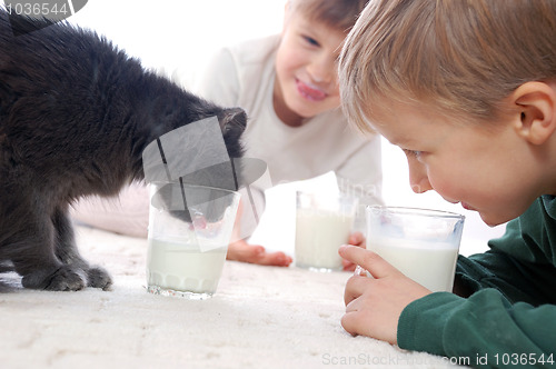 Image of they all like milk