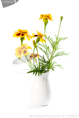 Image of marigold flowers in vase 