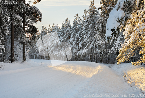 Image of Arctic road