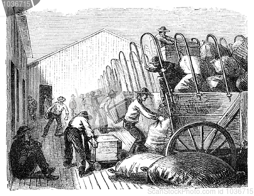 Image of Loading Wagons