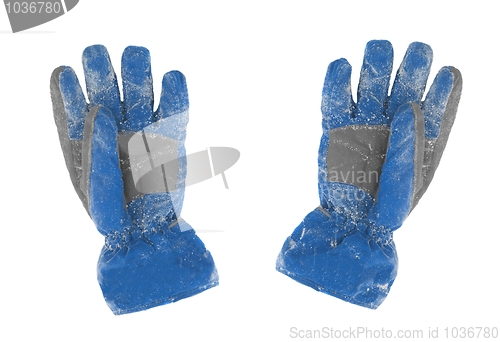 Image of Gloves