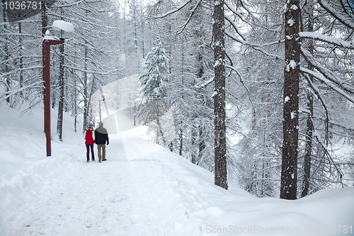 Image of Winter Park