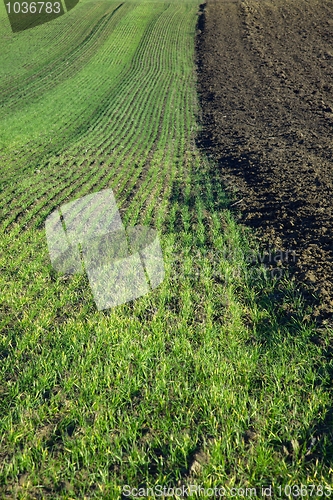Image of Field