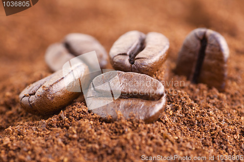 Image of Coffee Beans