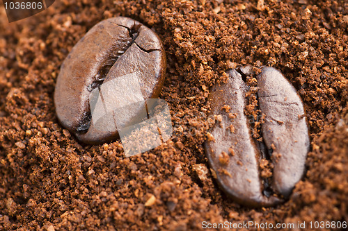 Image of Coffee Beans