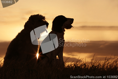 Image of Friends at sunset