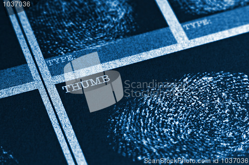 Image of Thumb Fingerprint File