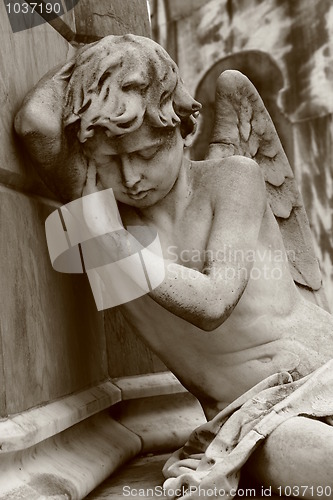 Image of Angel at Recoleta Buenos Aires