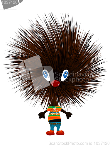 Image of Hedgehog punk