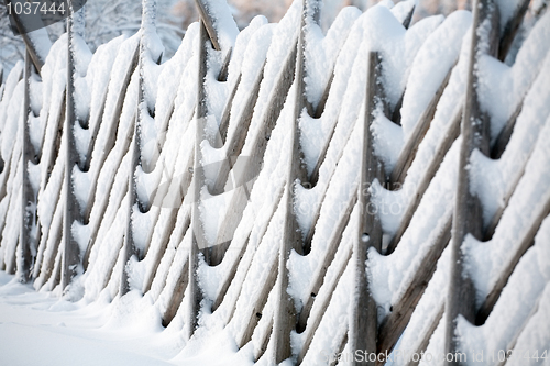 Image of winter pattern