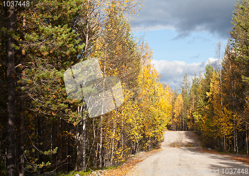 Image of golden road