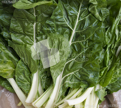 Image of Chard