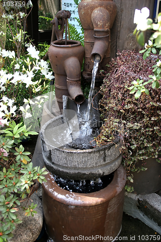 Image of Water garden