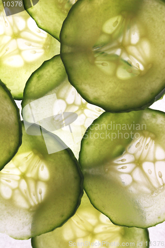 Image of Back lit slices of cucumber