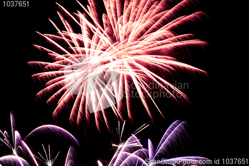 Image of Firework